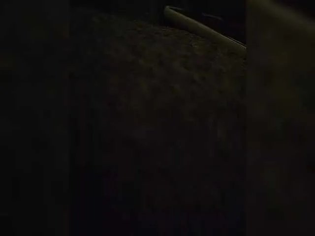 Freechat EvelynDreamy on BongaCams