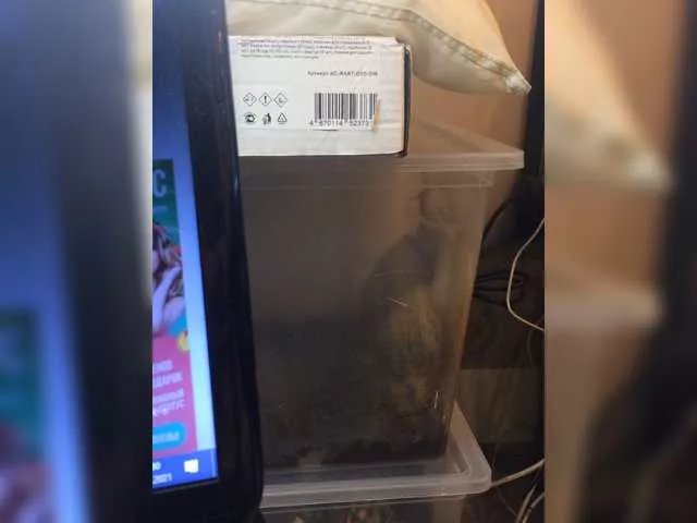 Freechat lovesupergerl on BongaCams