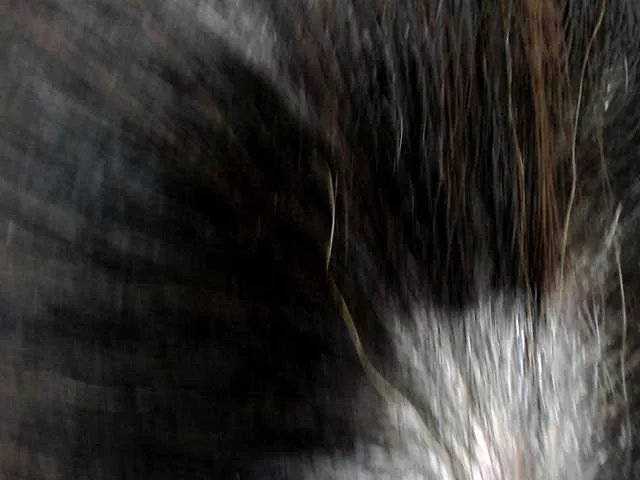 Freechat Manazahot99 on BongaCams