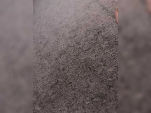 Freechat Sexy6969 on BongaCams