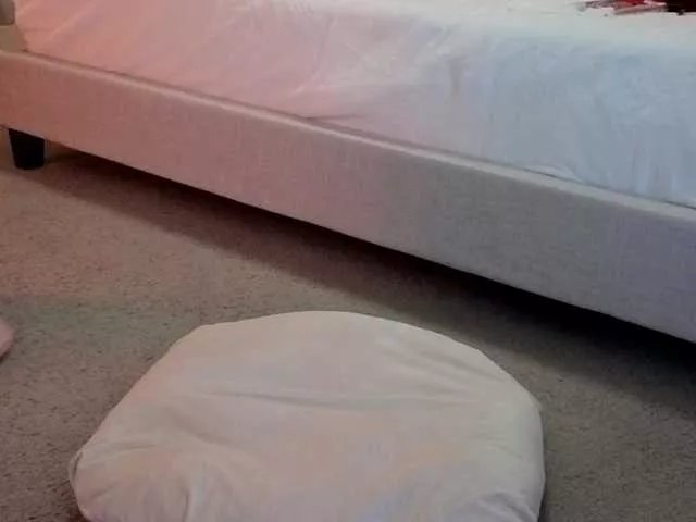 Freechat Sunshine- on BongaCams