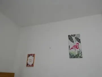 Freechat brafantasy on Chaturbate