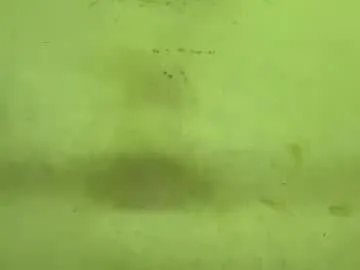 tamanna02 on Chaturbate 