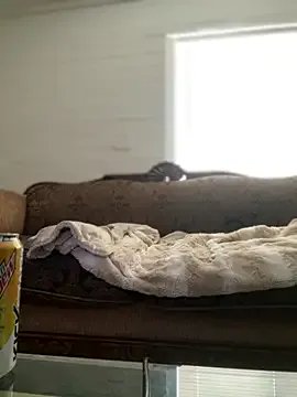 Freechat foxy_ana13 on StripChat