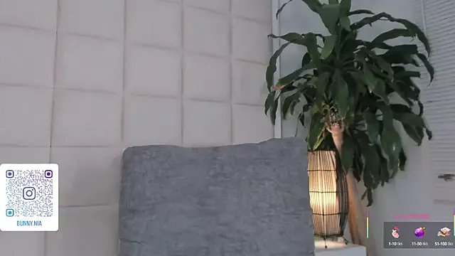Freechat Nia_Bunny on StripChat
