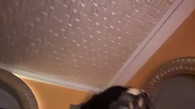 Freechat ORLA86 on StripChat