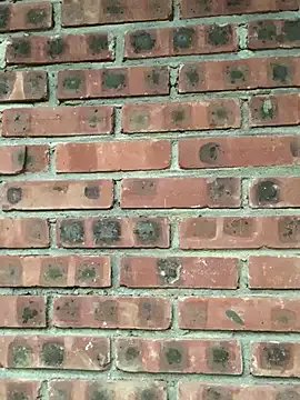 Freechat sowbibi on StripChat