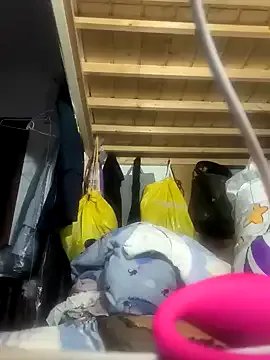 Freechat wsyx326 on StripChat